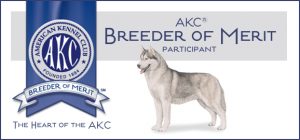 AKC Breeder of Merit Program